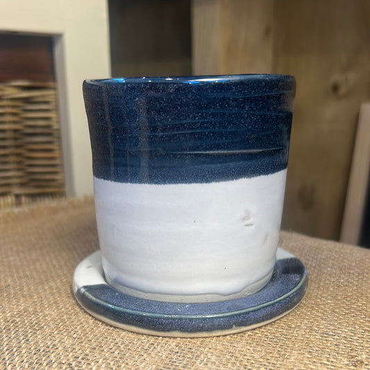 Blue and White Toothbrush Holder