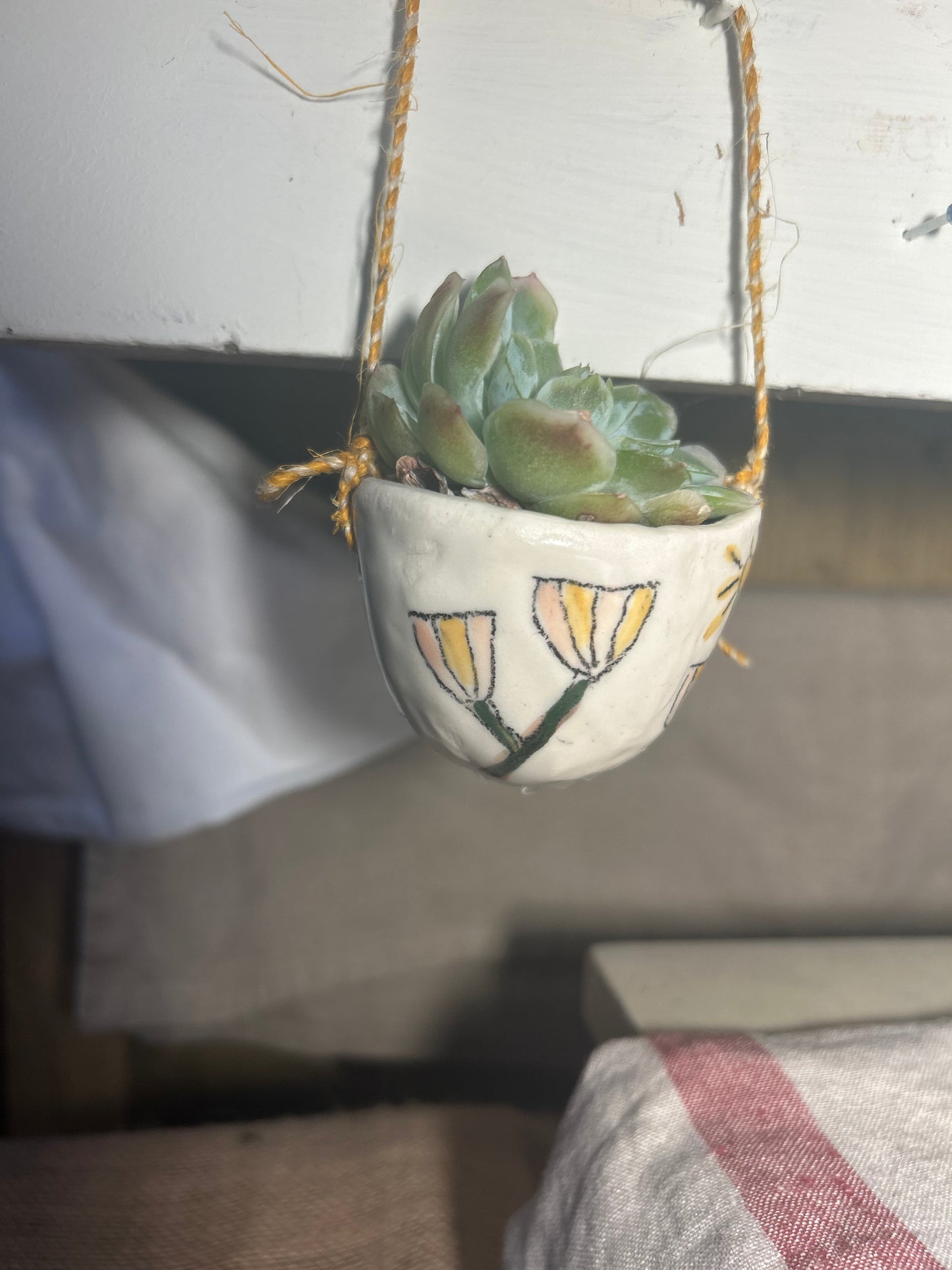 Hanging Planter Flowers