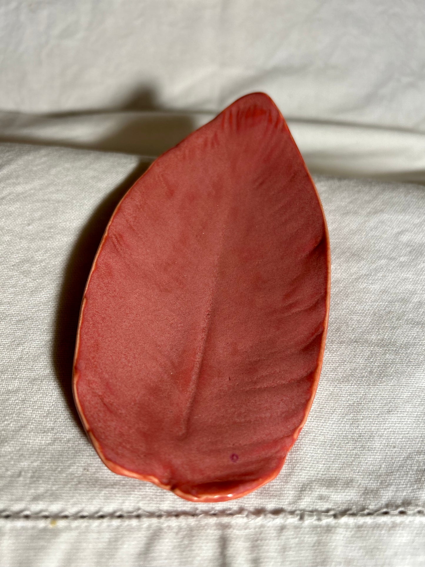 Raspberry Leaf Dish