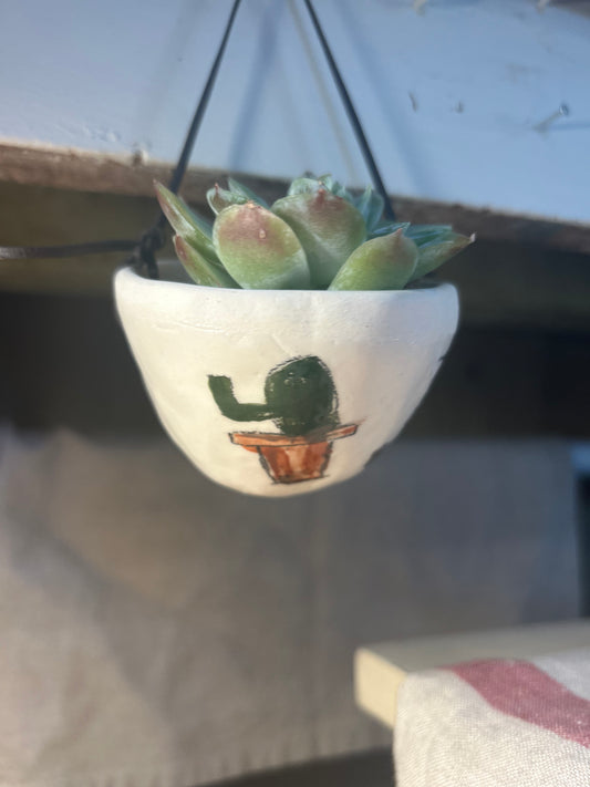 Hanging Planter Cactus